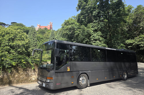 Mercedes Setra 313 UL
