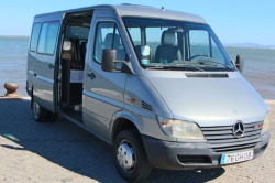 Mercedes Viano