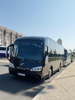 Mercedes Viano