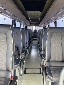 Mercedes Viano